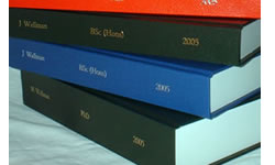 Dissertation